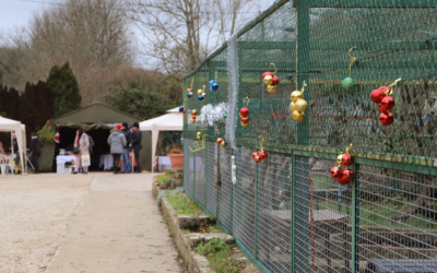 Portes Ouvertes décembre 2019