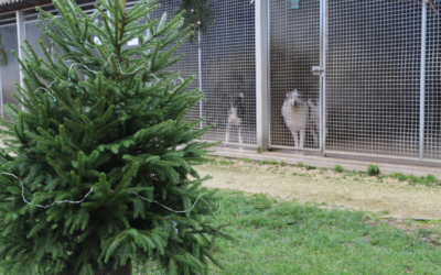 Portes Ouvertes décembre 2018