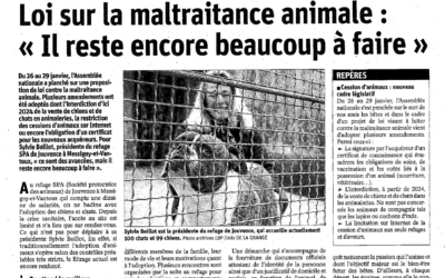 Article Bien Public du 07/02/21