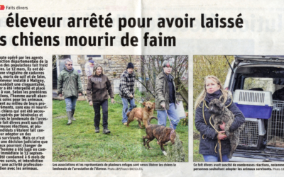 Article Bien Public du 23/12/19