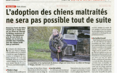 Article Bien Public du 16/03/19