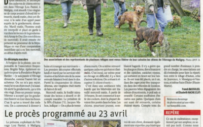 Article Bien Public du 14/03/19