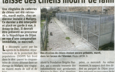 Article Bien Public du 13/03/19