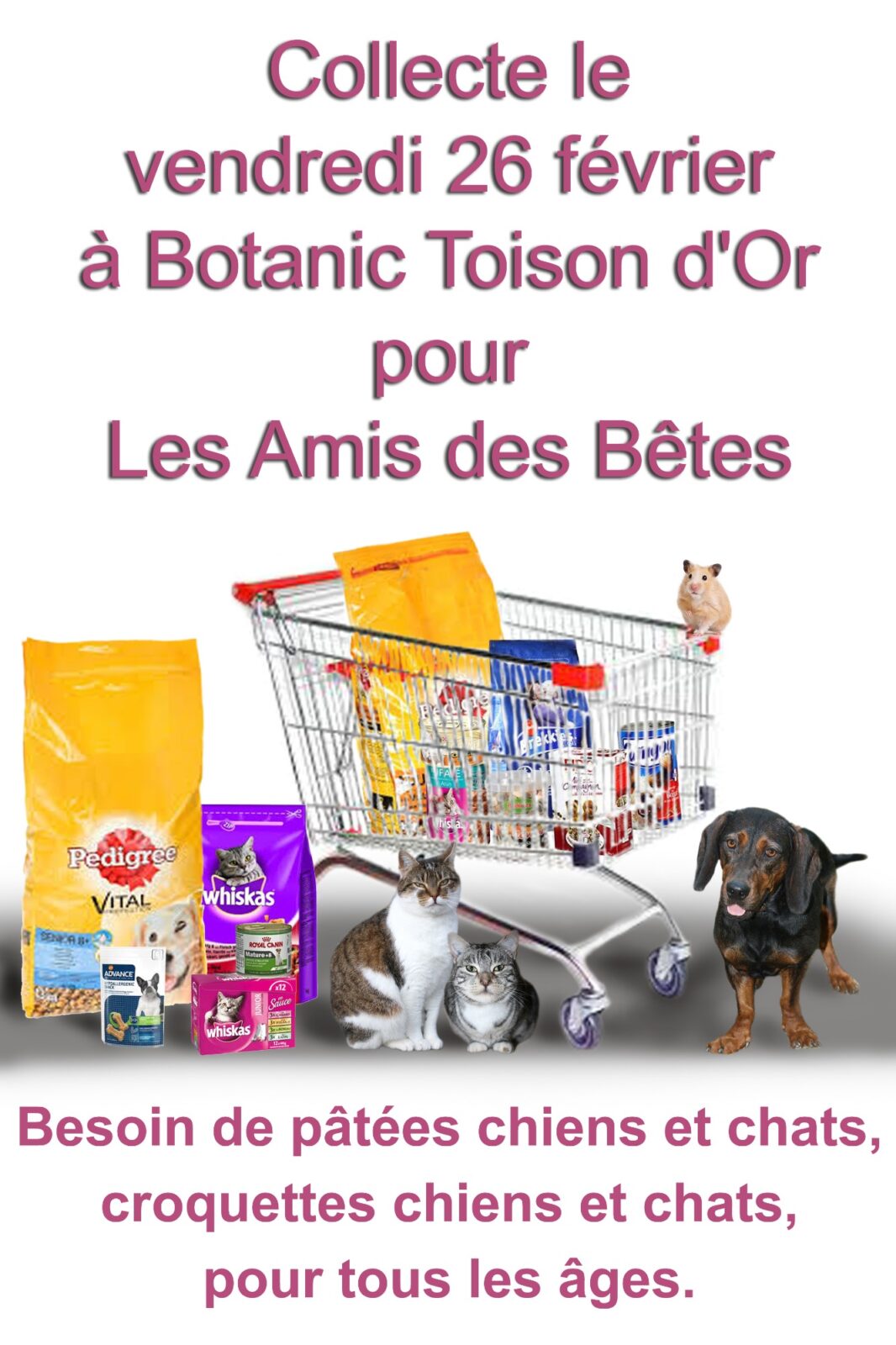 Collectes_animalerie_1