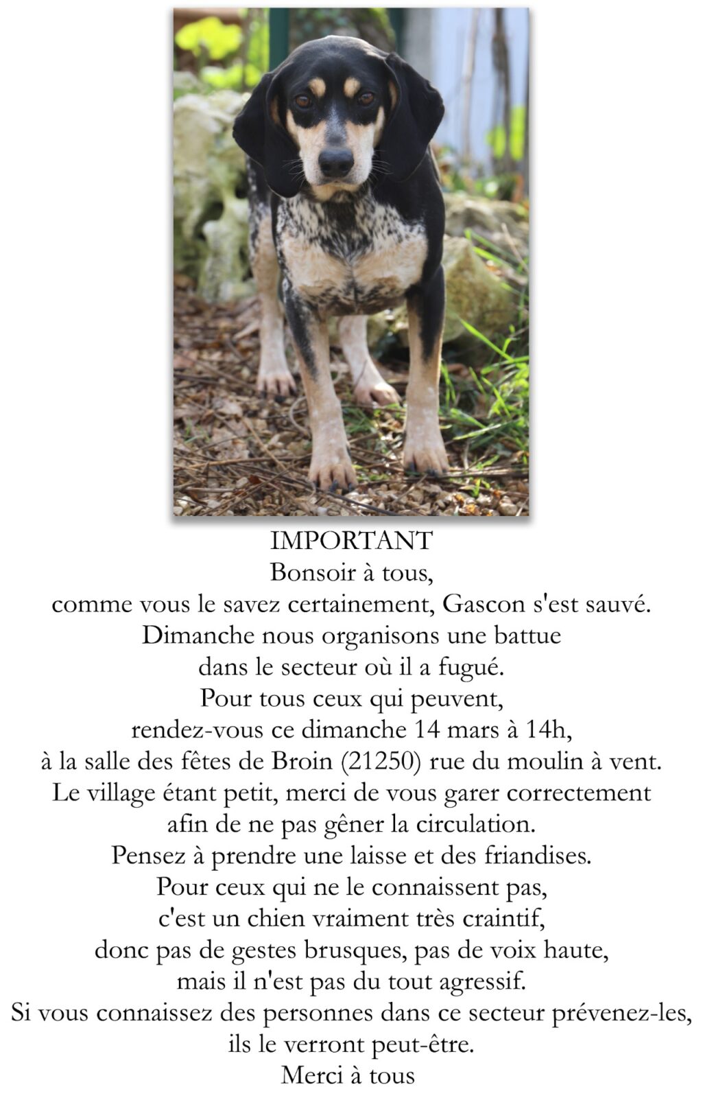 Gascon_4