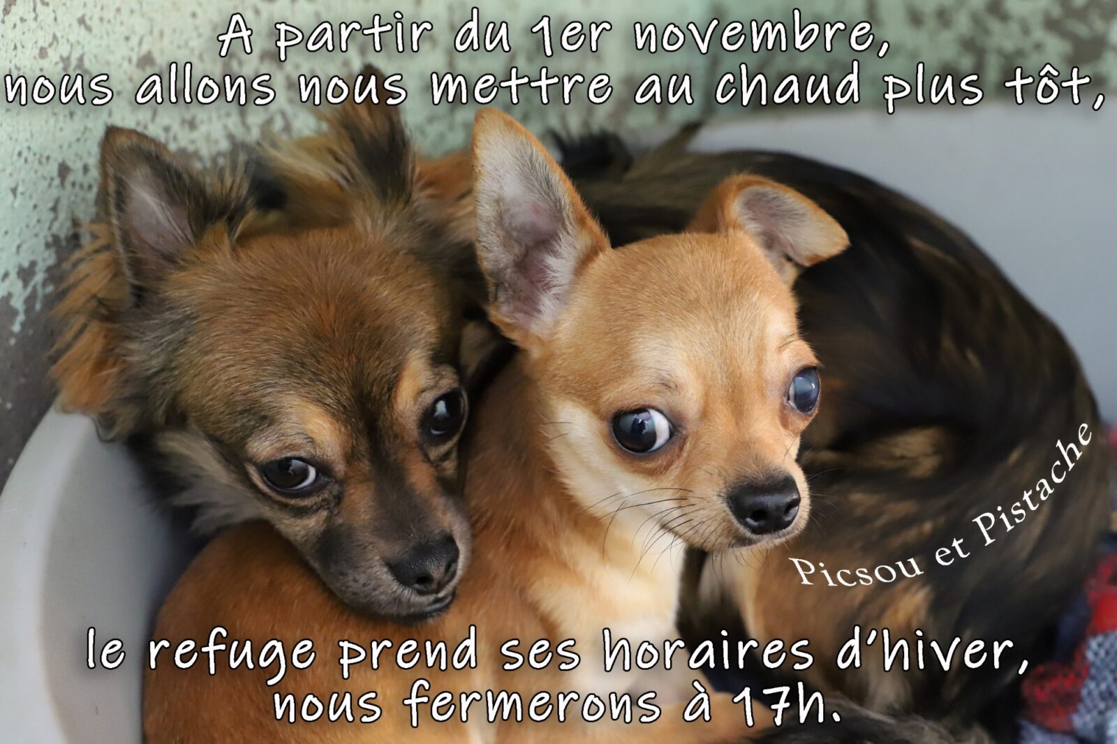 Heures_hiver