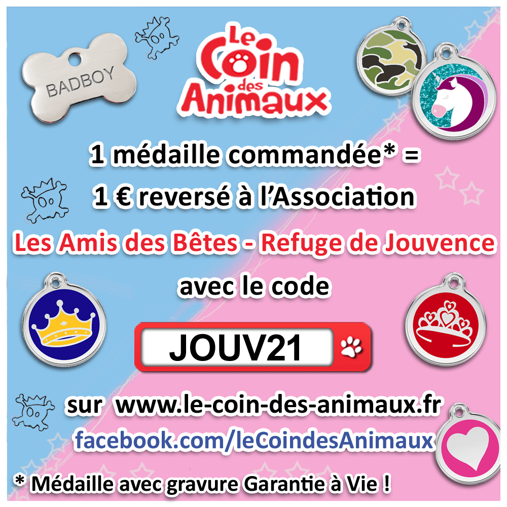 thumbnail_JOUV21