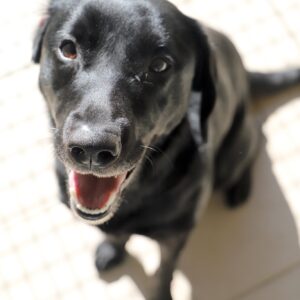 WINNIE