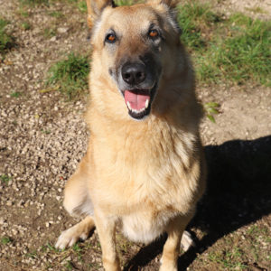 ROSCO