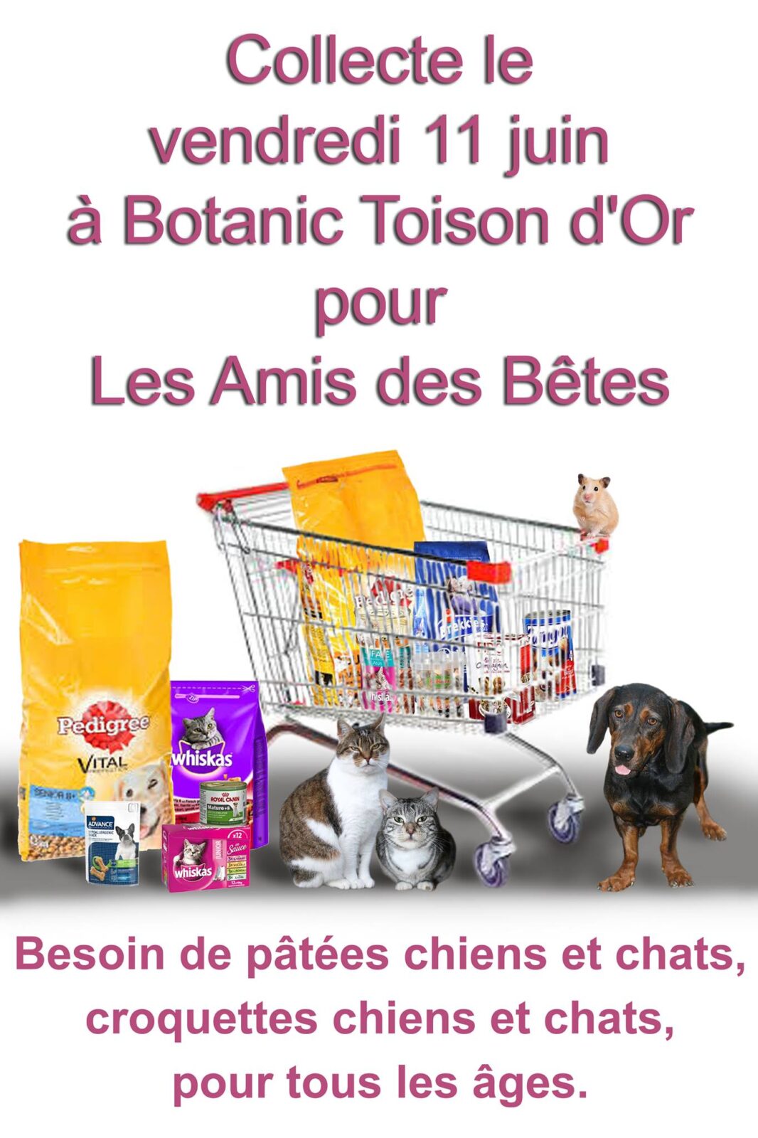 collecte botanic