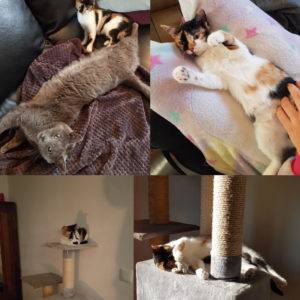 Mélodie