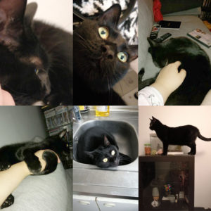 Salem
