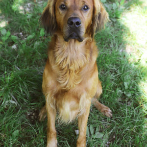 BALKO