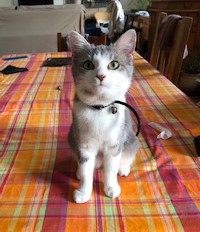 MYLWAUKY