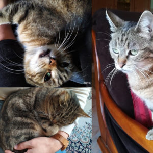 Nénette (ex Babette)