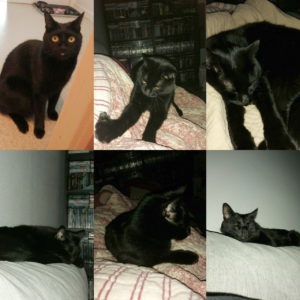 Salem
