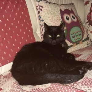 Marley (ex Pounet)