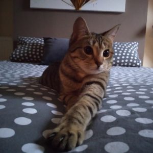 Balthazar