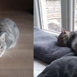 Séléna (ex Hopette)