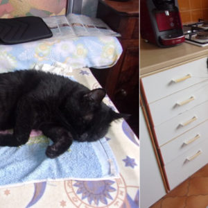 STICKY (ex l’ENCHANTEUR)