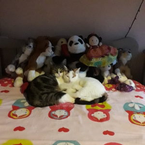 Mia et Héra (ex Vanille)