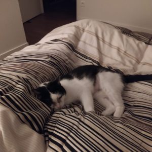 Nikky