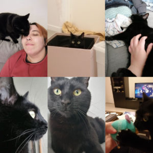 Salem