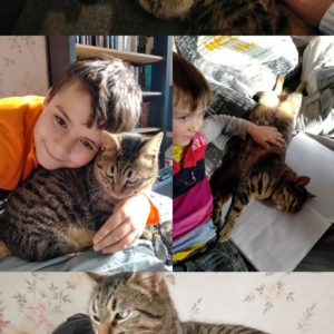 Ramsès (ex Zouzoupet)