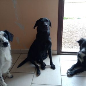 Snoopy et Siska
