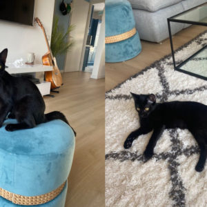 Onyx (ex Aloe)