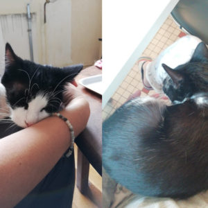Praline (ex Ortie)