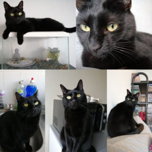 Salem