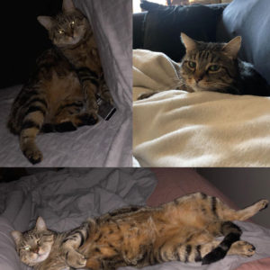 olive (ex Kiki)
