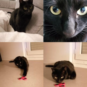 Salem