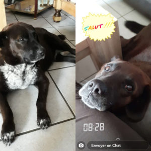 Diego