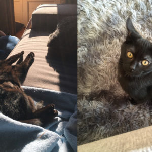Salem