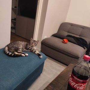 Pixel (ex Yoshi)