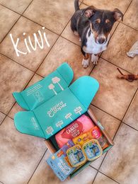Kiwi