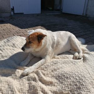 REMUS