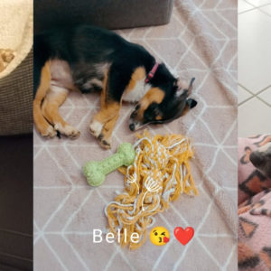 Belle (ex Fraise)