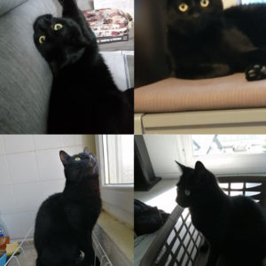 Salem