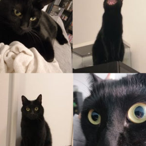 Salem