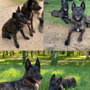 Orus (ex Choco) et Eros