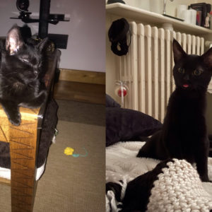 Shadow (ex Salma)