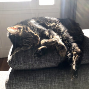 Tigrou