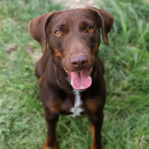 RUBY