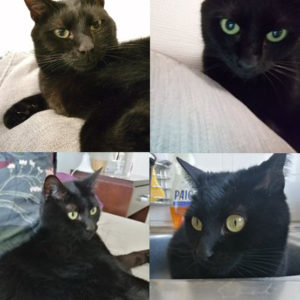 Salem