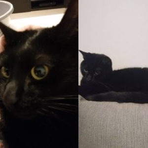 Salem