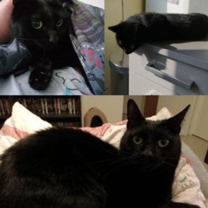 Salem