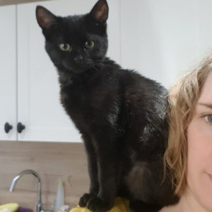 Salem